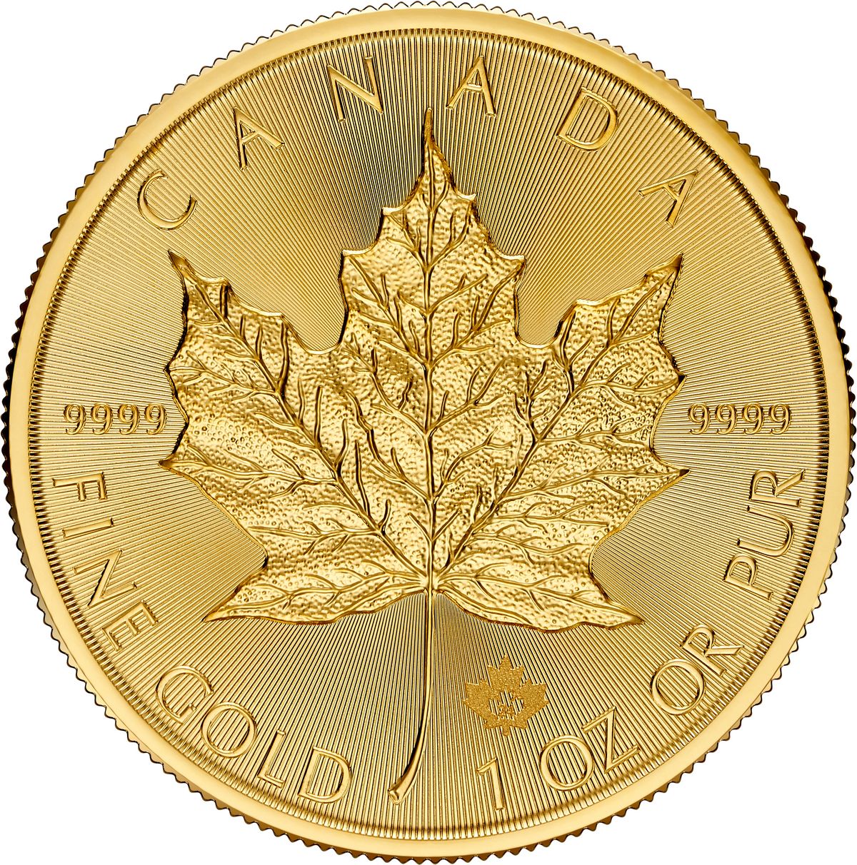 Unze Gold Maple Leaf Swissgoldshop