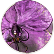 1 Unze Silbermünze Bionics - Orchidee 1 Unze Silbermünze Bionics - Orchidee